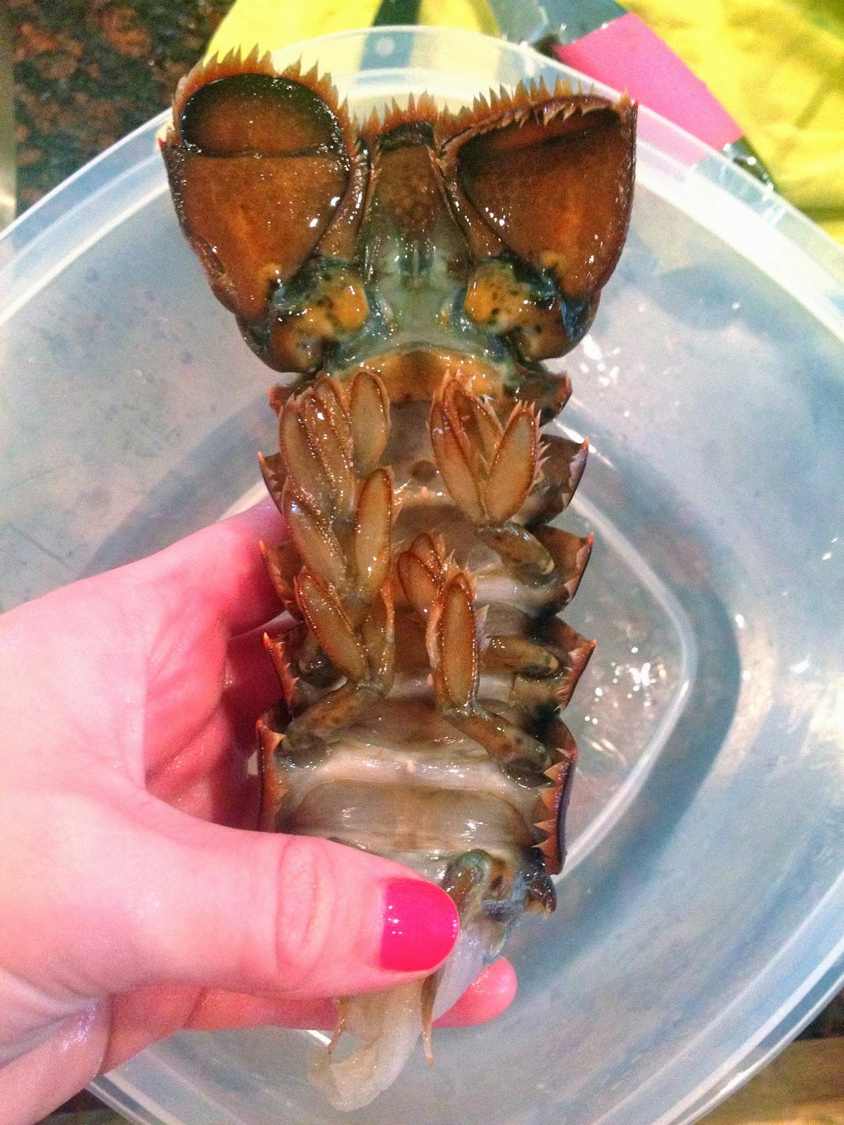 Verbal Gold Blog Fried Lobster Bites Recipe