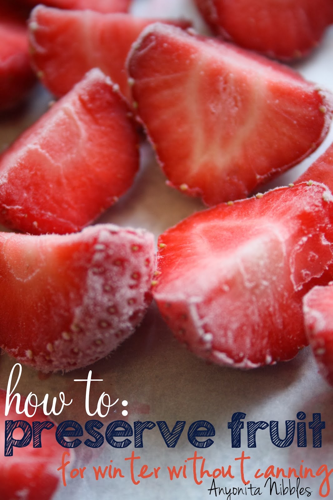 Anyonita Nibbles GlutenFree Recipes How to Preserve Fruit for