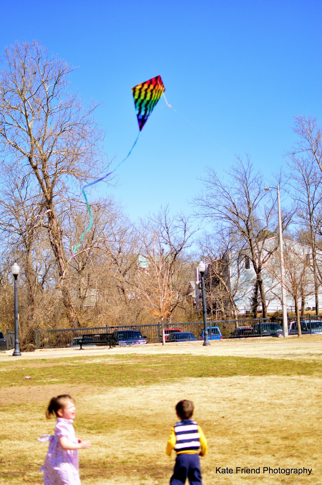 A Friendly Home Flying kites in the park