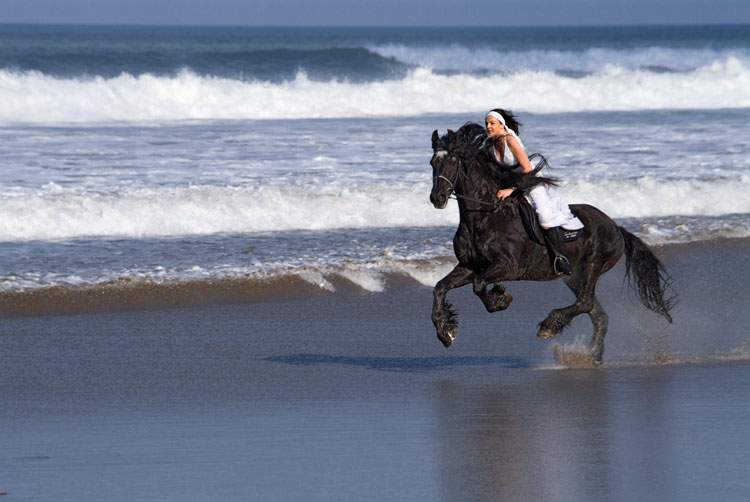 beach and horse