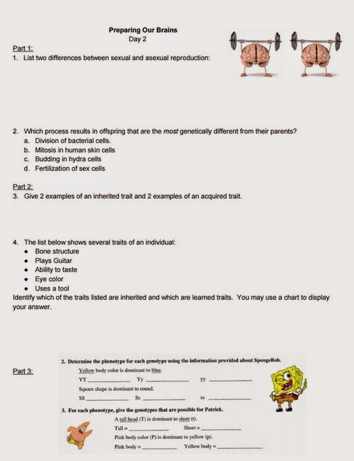 Teaching the Kid: Reviewing Heredity