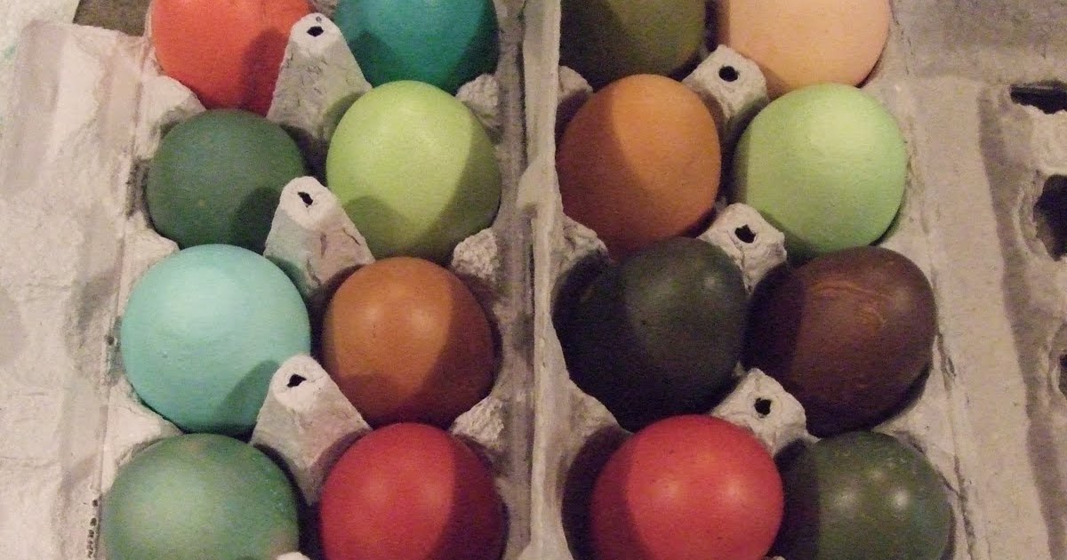 Pam's Backyard Chickens Custom Dyed Easter Eggs