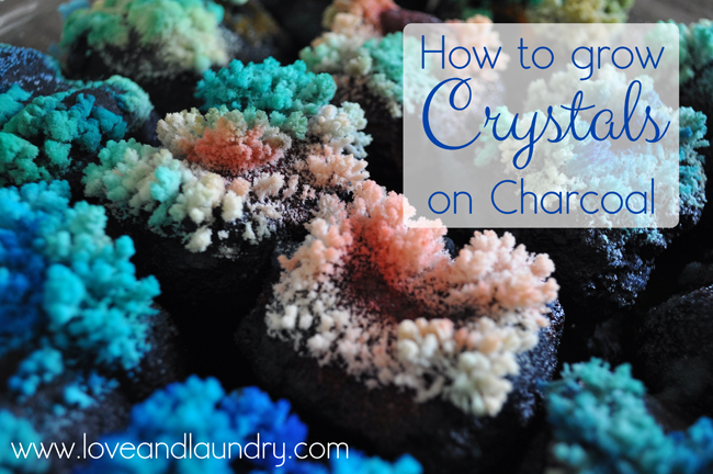 http://1.bp.blogspot.com/-oSQHPLRzZ1s/UUXzNH_si0I/AAAAAAAAH-8/zMDHuWAZFXY/s1600/how+to+grow+crystals+on+charcoal.jpg