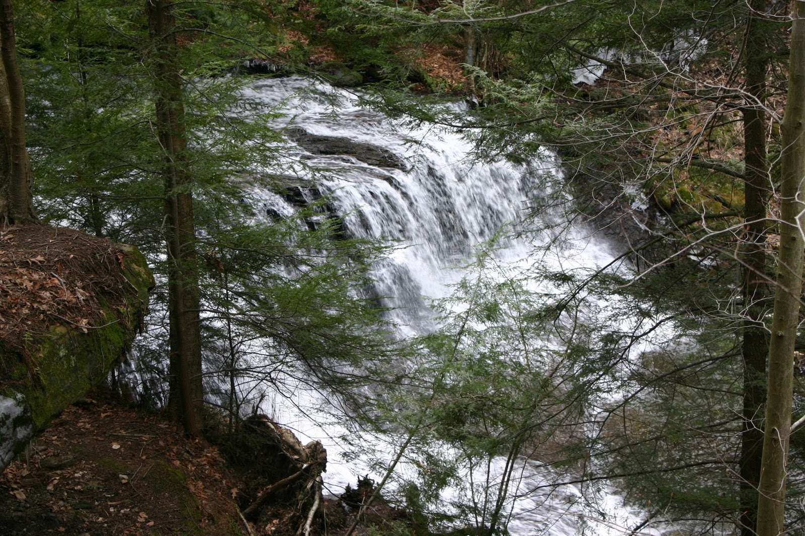 Waterfalls Of Pennsylvania Settlers Cabin Park Waterfall