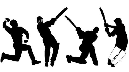 Silhouette Compared To Cricket