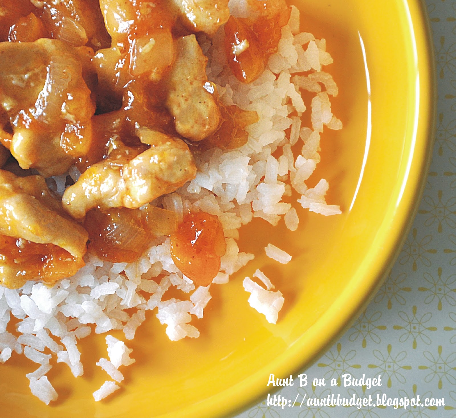 Aunt B on a Budget Apricot Chicken
