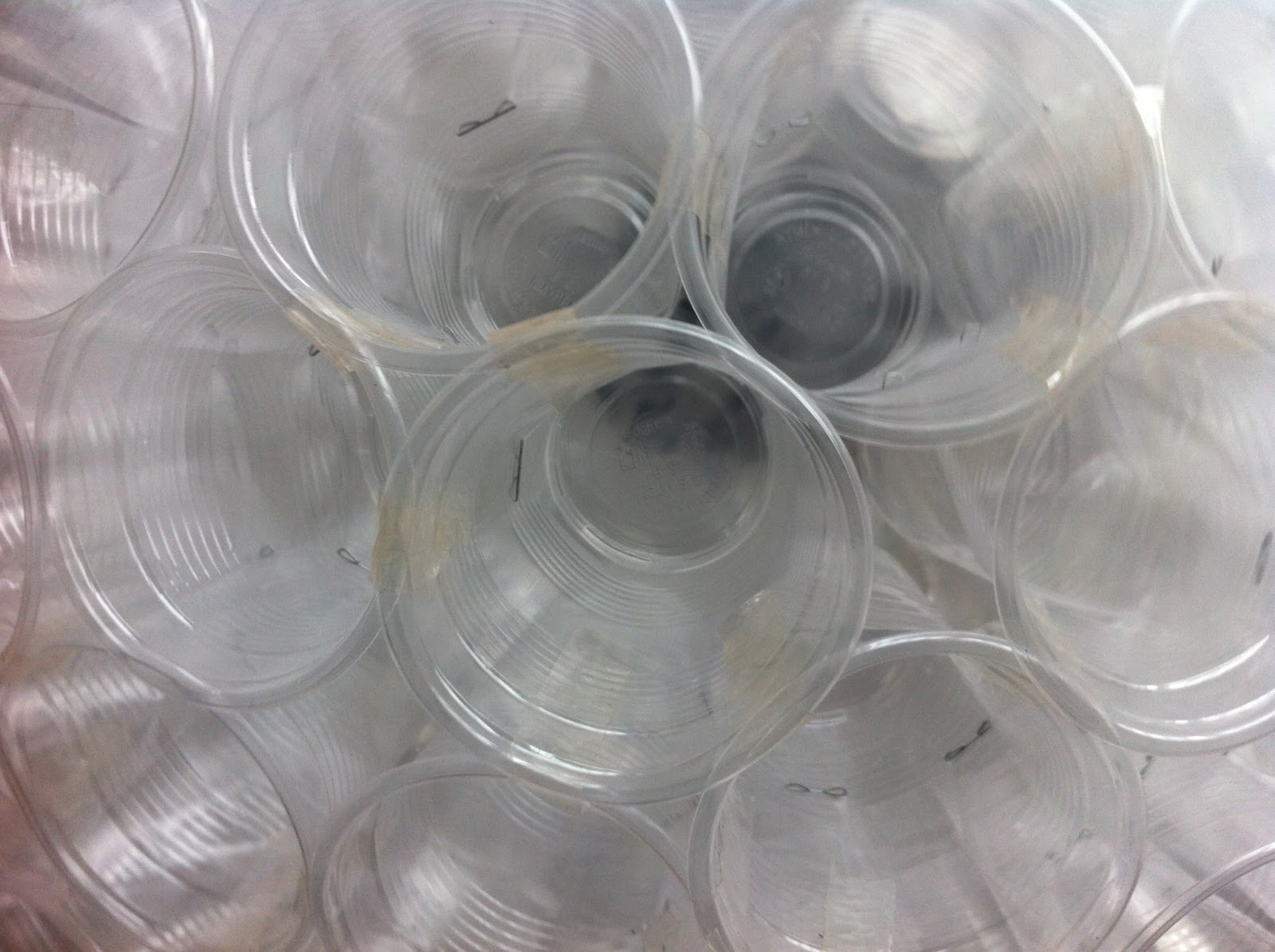 Sebnem In Sinifi Bardak Kuremiz