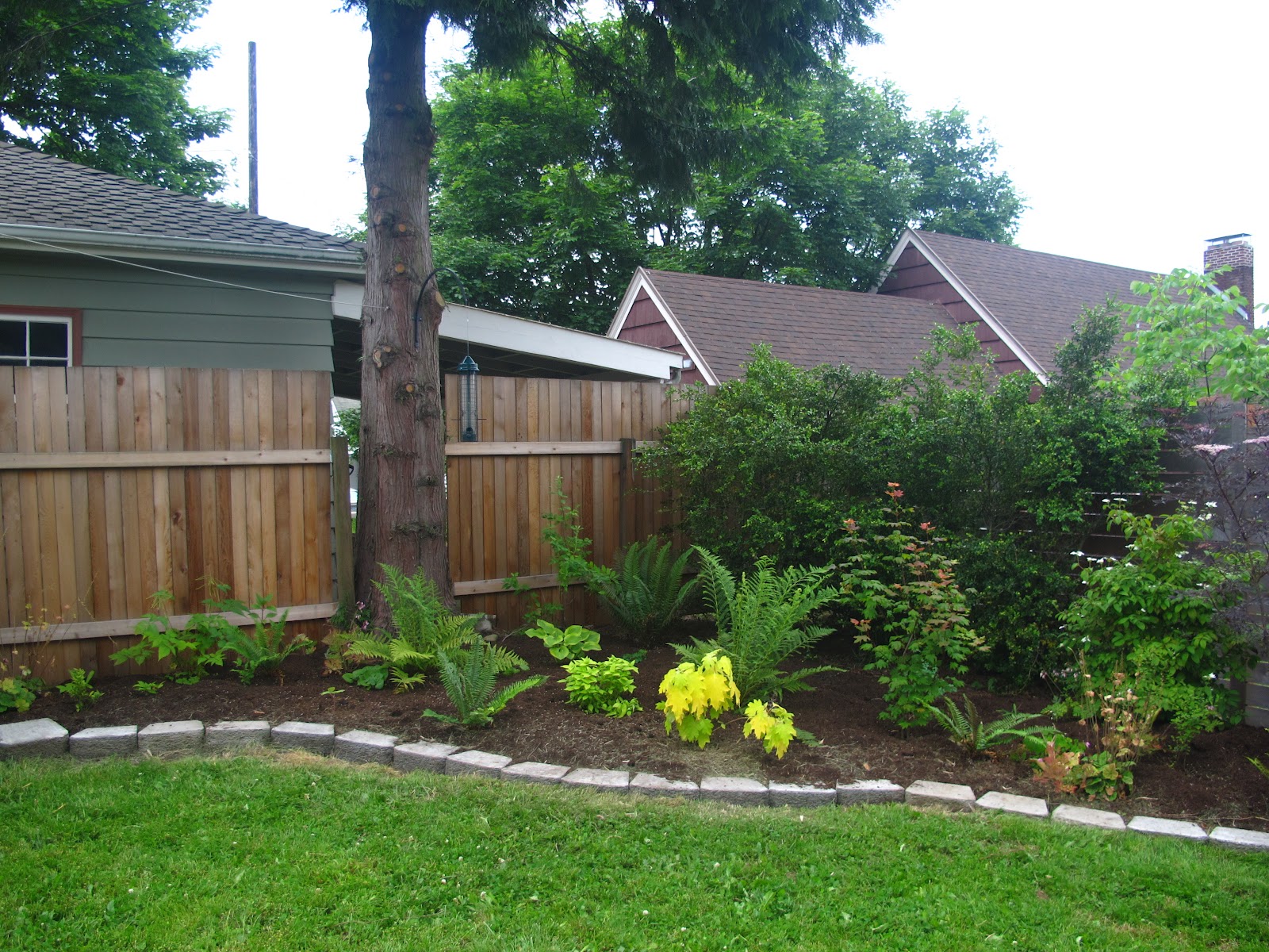 A Tale Of 2 Plants An Oakleaf Hydrangea Experiment