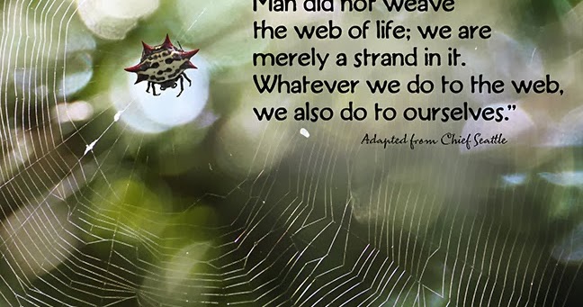 eHumanity The Intersection of Consciousness and