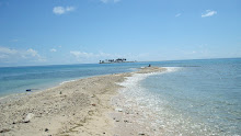 Sand Spit at High Tide