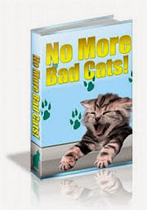 No More Bad Cats