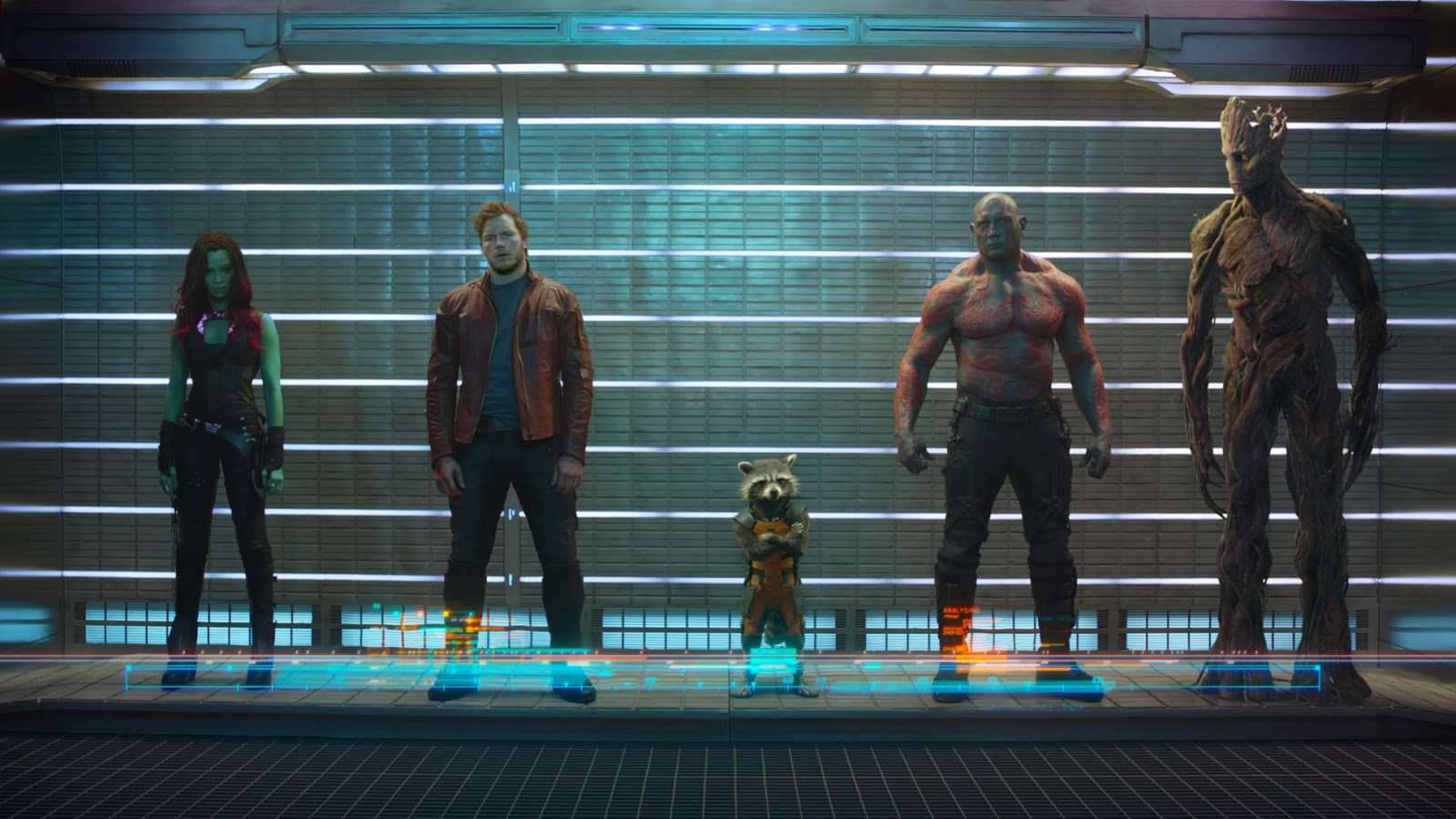 The Guardians of the Galaxy:  Gamora, Star Lord, Rocket Racoon, Drax the Destroyer, and Groot