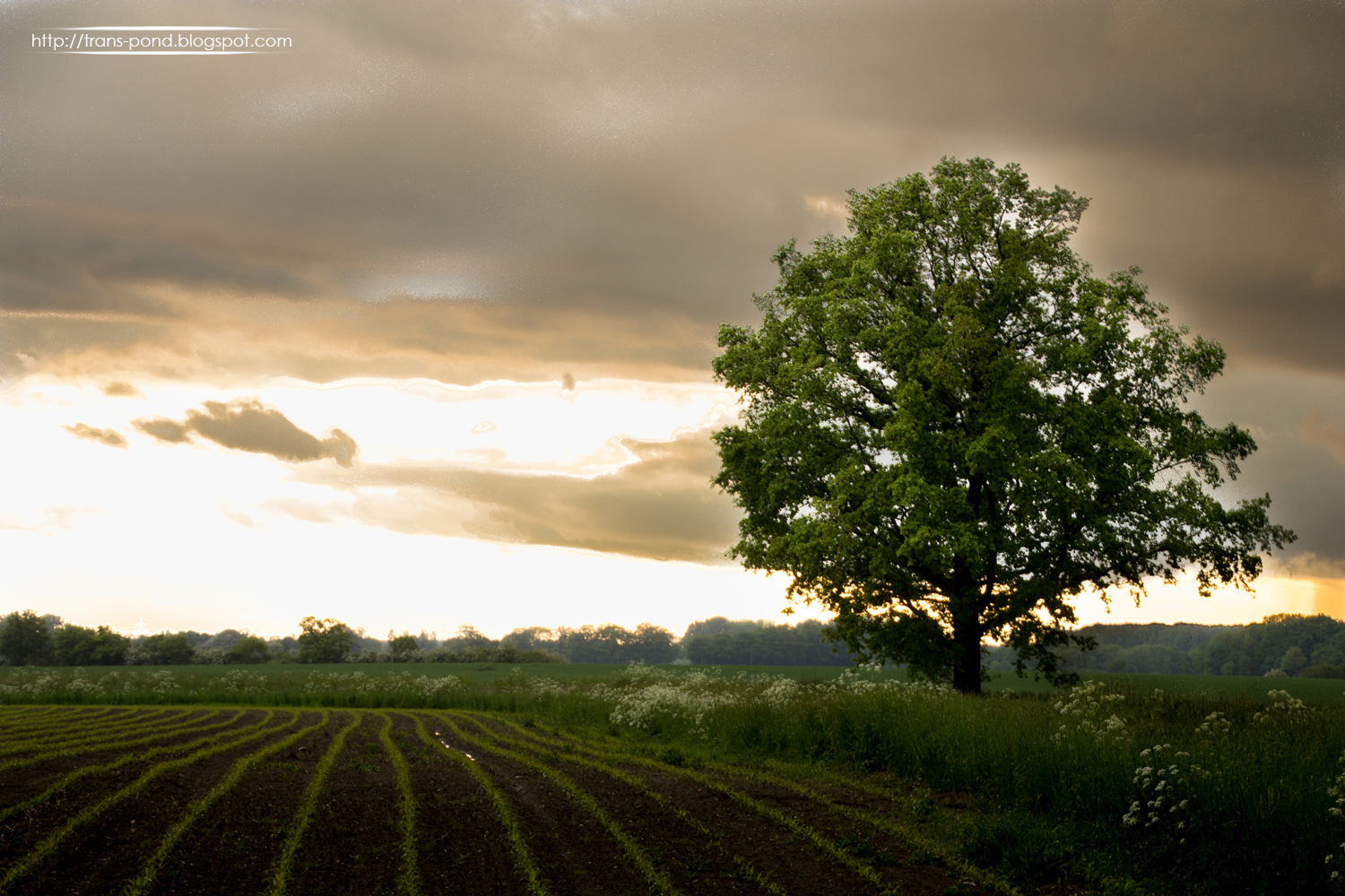 Rc Channel Blog 2019 04