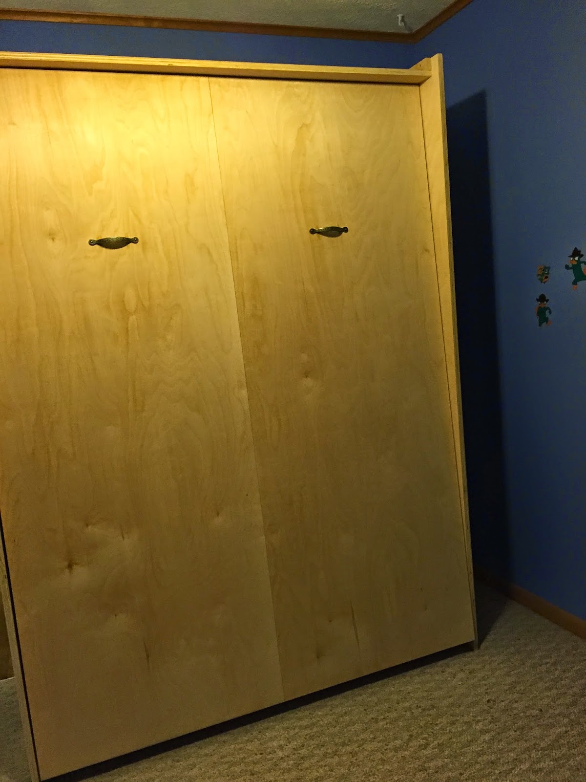 Photo of the finished Murphy bed cabinet installed against the wall.