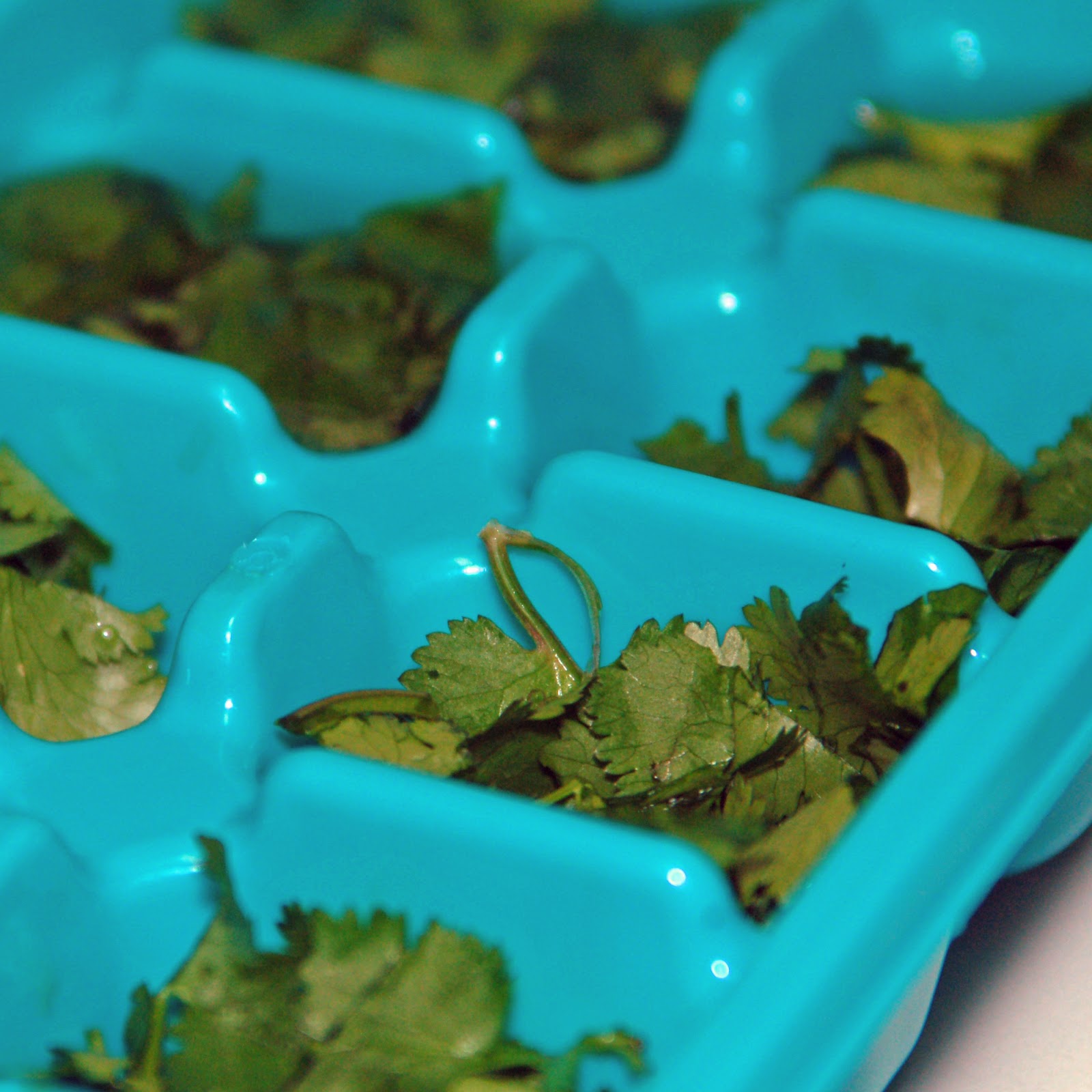 How to Freeze Fresh Herbs Ice Cube Tray Method Recipe No Utensil Unused