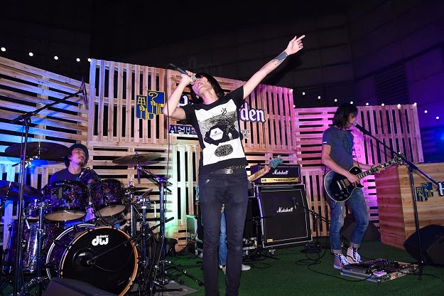 43 Best Fringe Flower Shrub Images In 2020 Garden Shrubs Plants