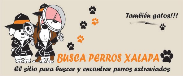 Busca Perros Xalapa