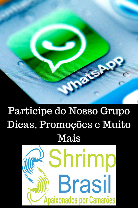 Grupo Wattsapp Camarões