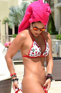 Jennifer Nicole Lee Red Candy Bikini Miami pool