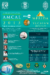 Pagina del Congreso Internacional AMCAL 2013