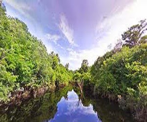 Sungai terunik didunia Sungai terunik didunia