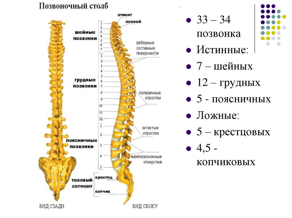 Блондинка стоит раком а сзади ее имеет негр Блондинка стоит раком а сзади ее имеет негр