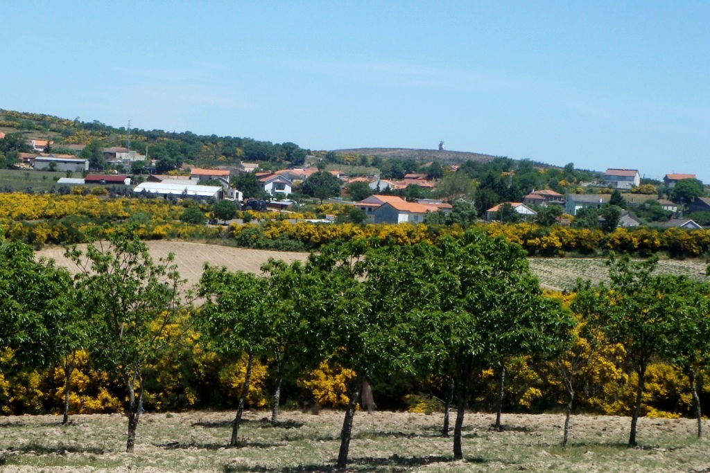TRAVANCAS DA RAIA Travancas, de Amarelo