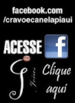 Acesse o facebook da Cravo e Canela