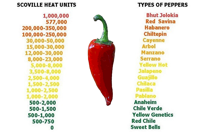 ...naga jolokia pepper scoville scale Also work in open plan office with a ...