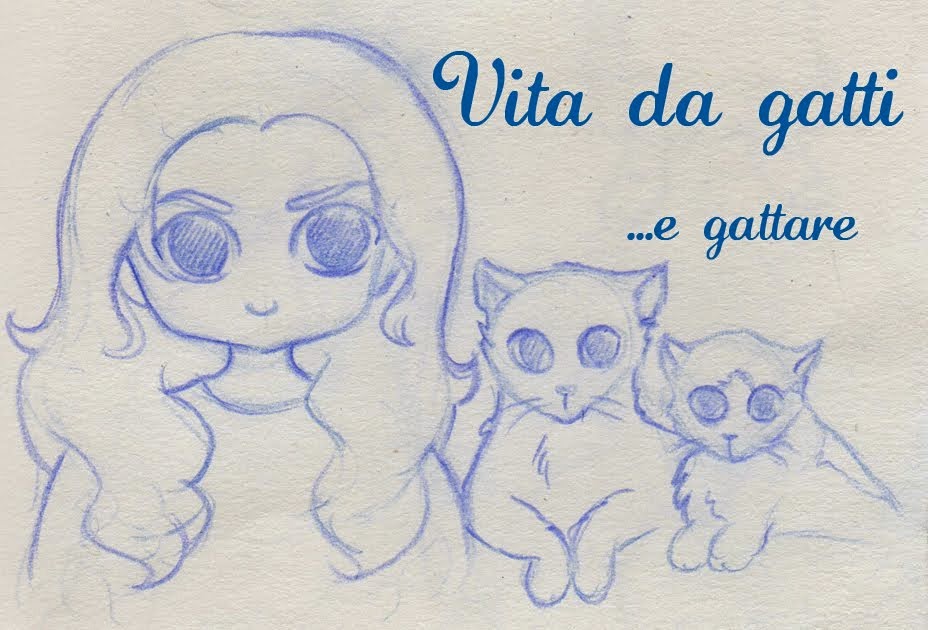 vita da gatti