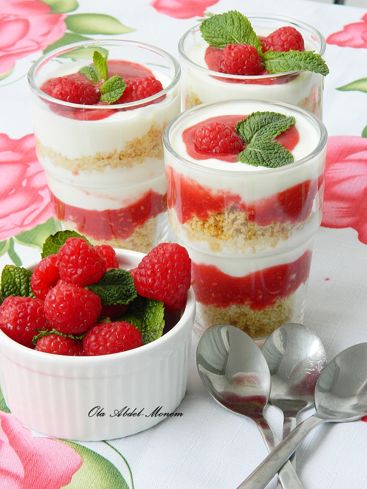 Dr Ola's kitchen YogurtRaspberries cups with Raspberry Sauce.