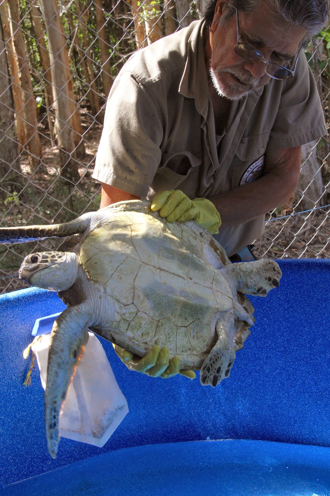 News from Coquette Point