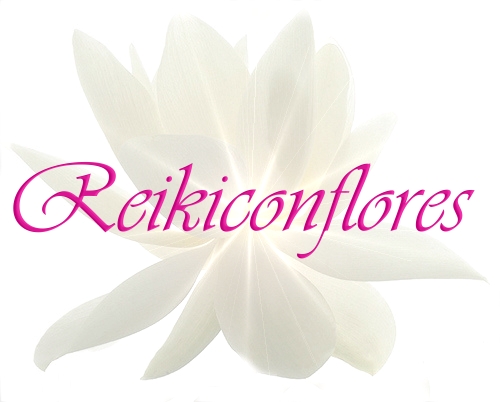 Reikiconflores