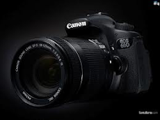 Canon 60D