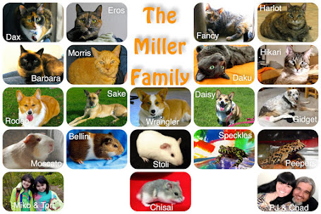 The Musing Millers
