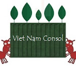 Viet Nam Consolidation