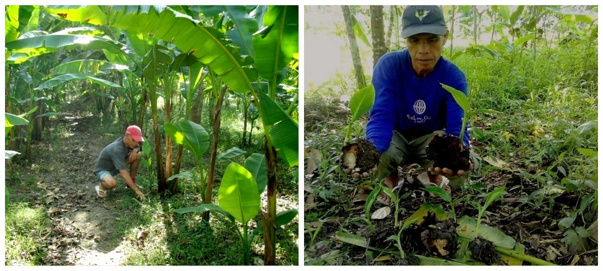 Albay 3rd District Seeds of Development Ligao renders commendable