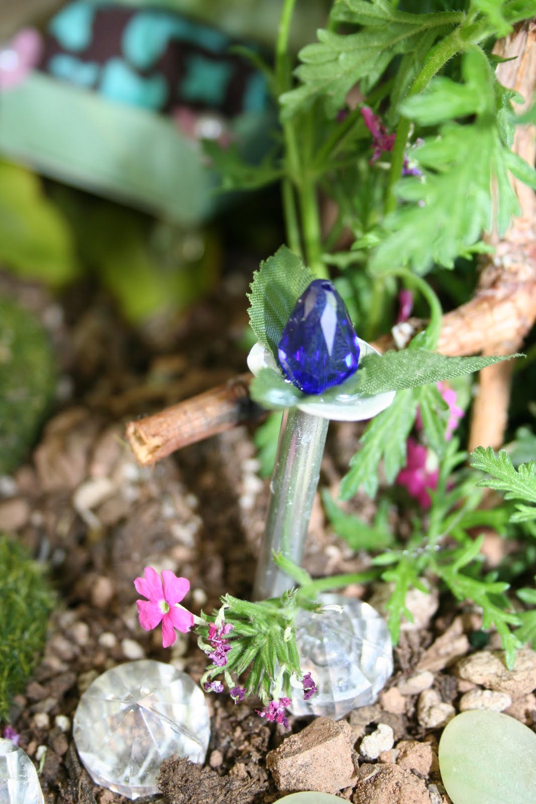 blog How to attract a Fairy to your backyard...