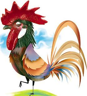 Gallo de colores en dibujo