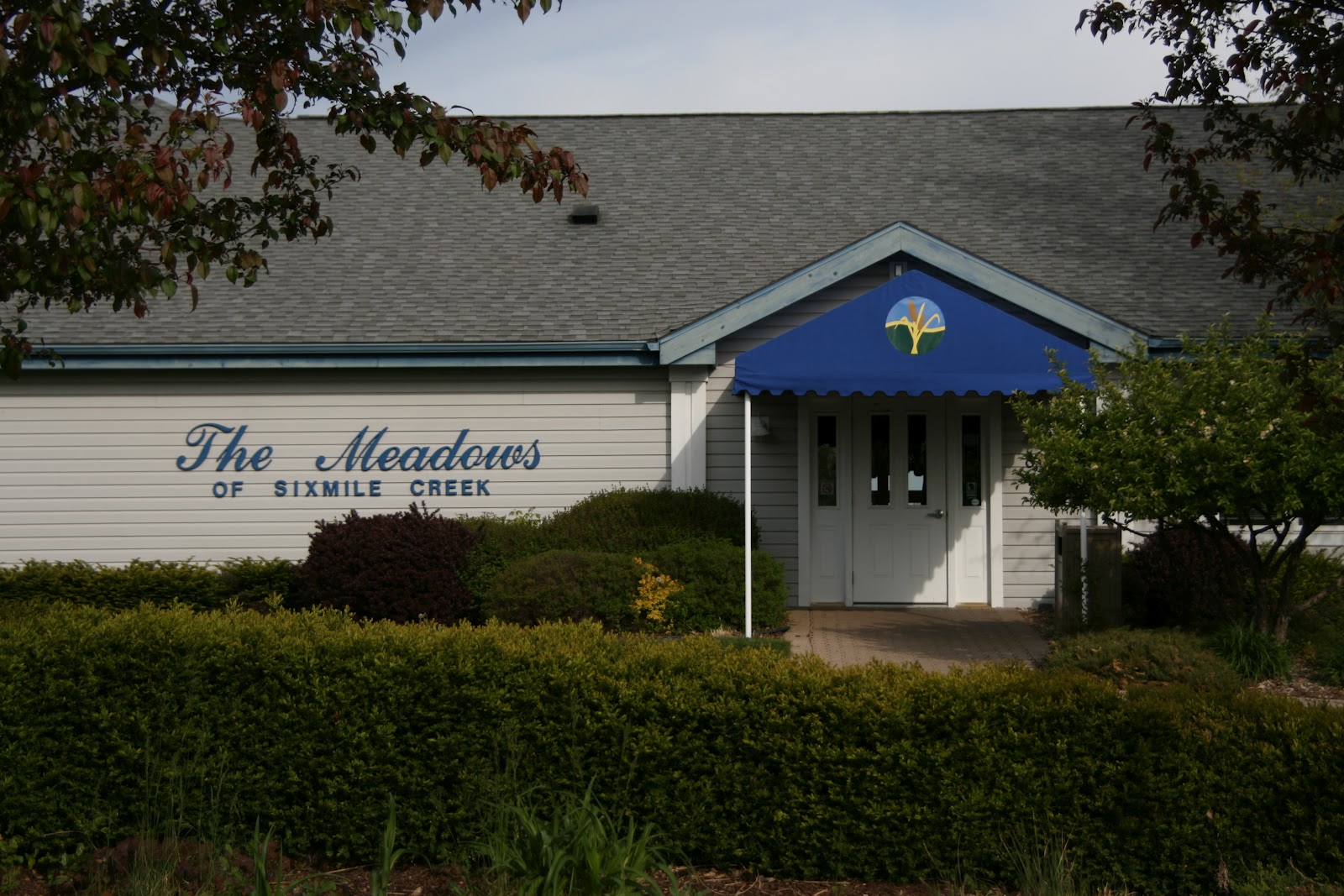 Achetez 20 mg Professional Levitra Prix Le Moins Cher En Ligne