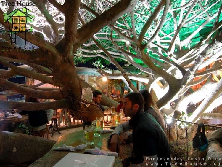 Alizul THE WORLD’S MOST BIZARRE RESTAURANTS