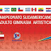 Campeonato Sul-Americano Adulto de Ginástica 2013