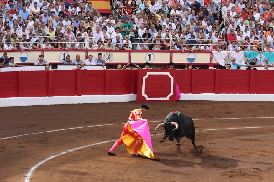 AFICIÓN POR LOS TOROS