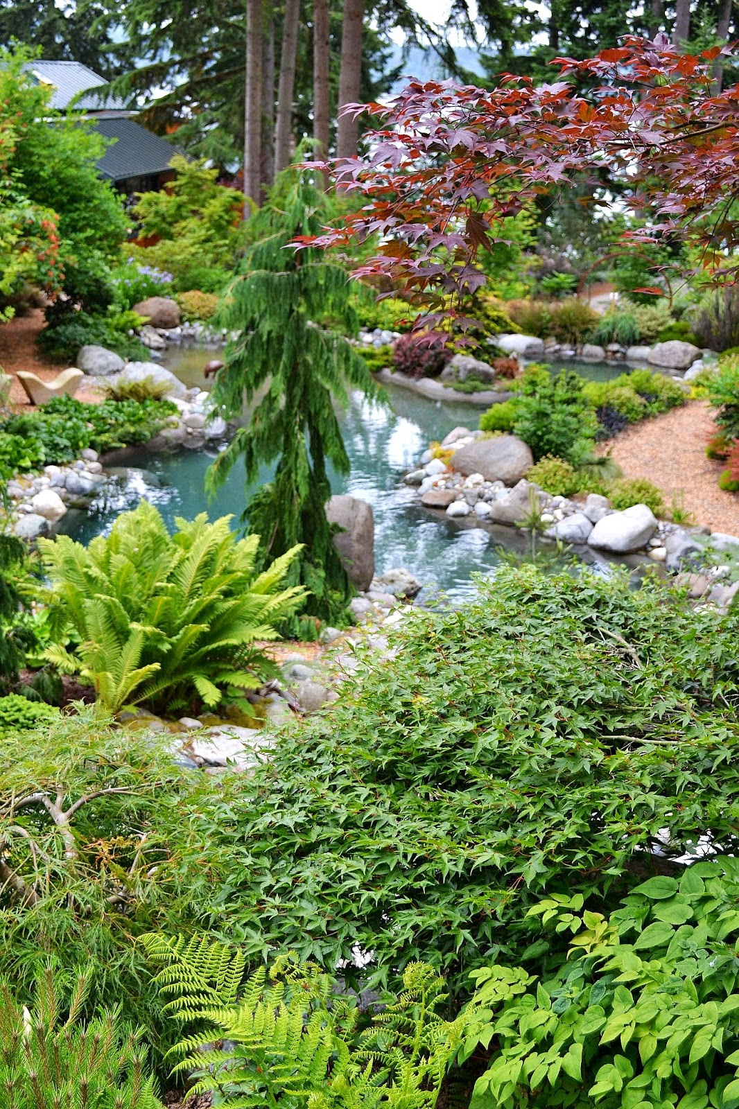 The Outlaw Gardener Vashon Island NPA Garden Tour part Five The