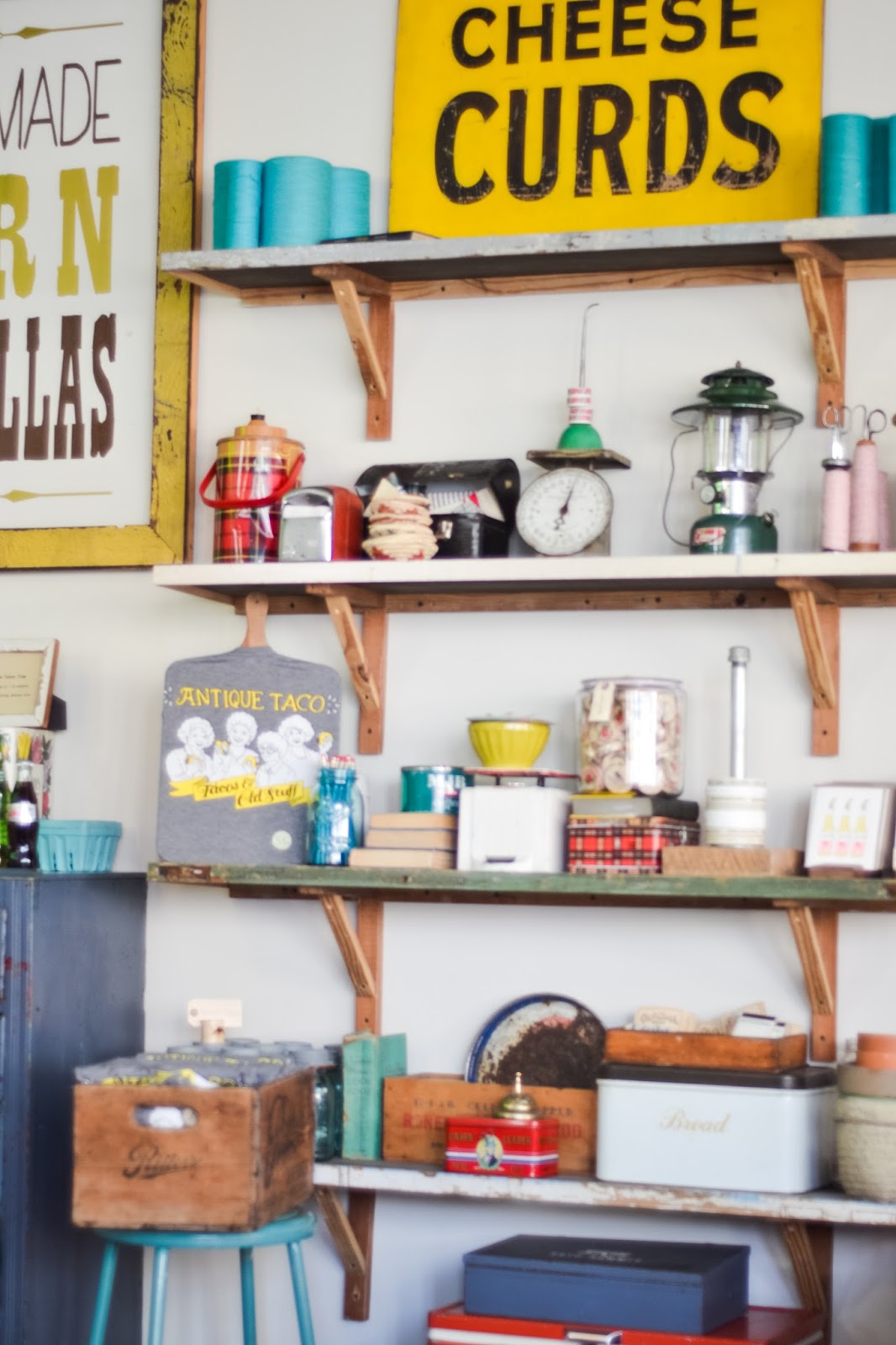 TLP'S CHICAGO GUIDE WICKER PARK THE LOLLY PROJECT