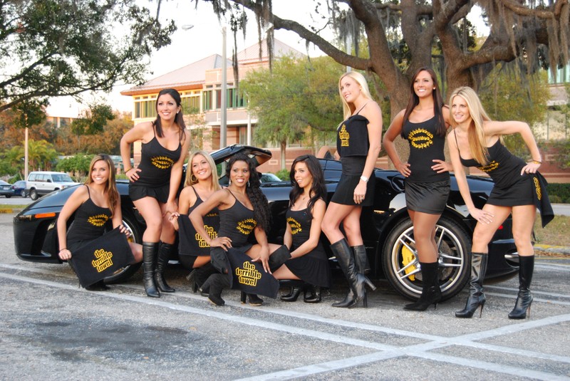 Steelers Cheerleader Costume