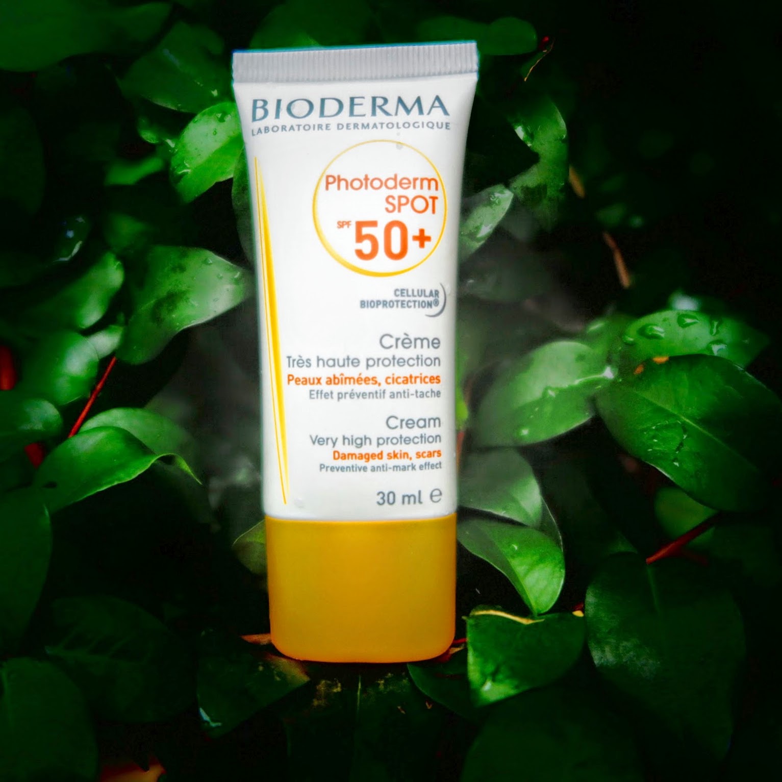 Beauty Hoarder Sisterhood Bioderma Photoderm Spot Spf50 Creme Review
