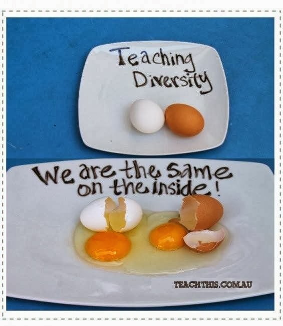 Teaching diversity