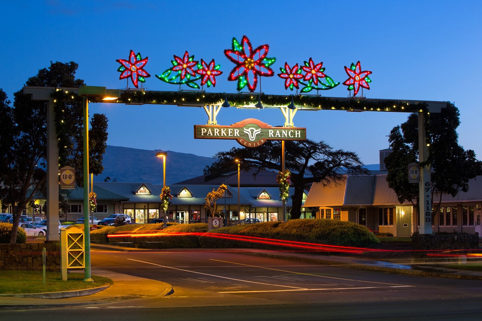 Downtown Decorations, Inc.: Waimea, Hawaii