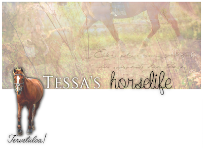 Tessa's horselife